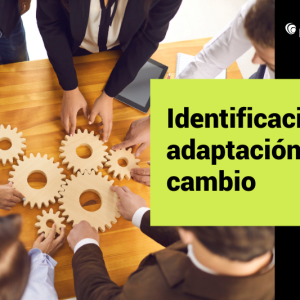 Identificación y adaptación al cambio