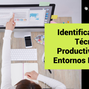 Identificación De Técnicas De Productividad En Entornos Híbridos.